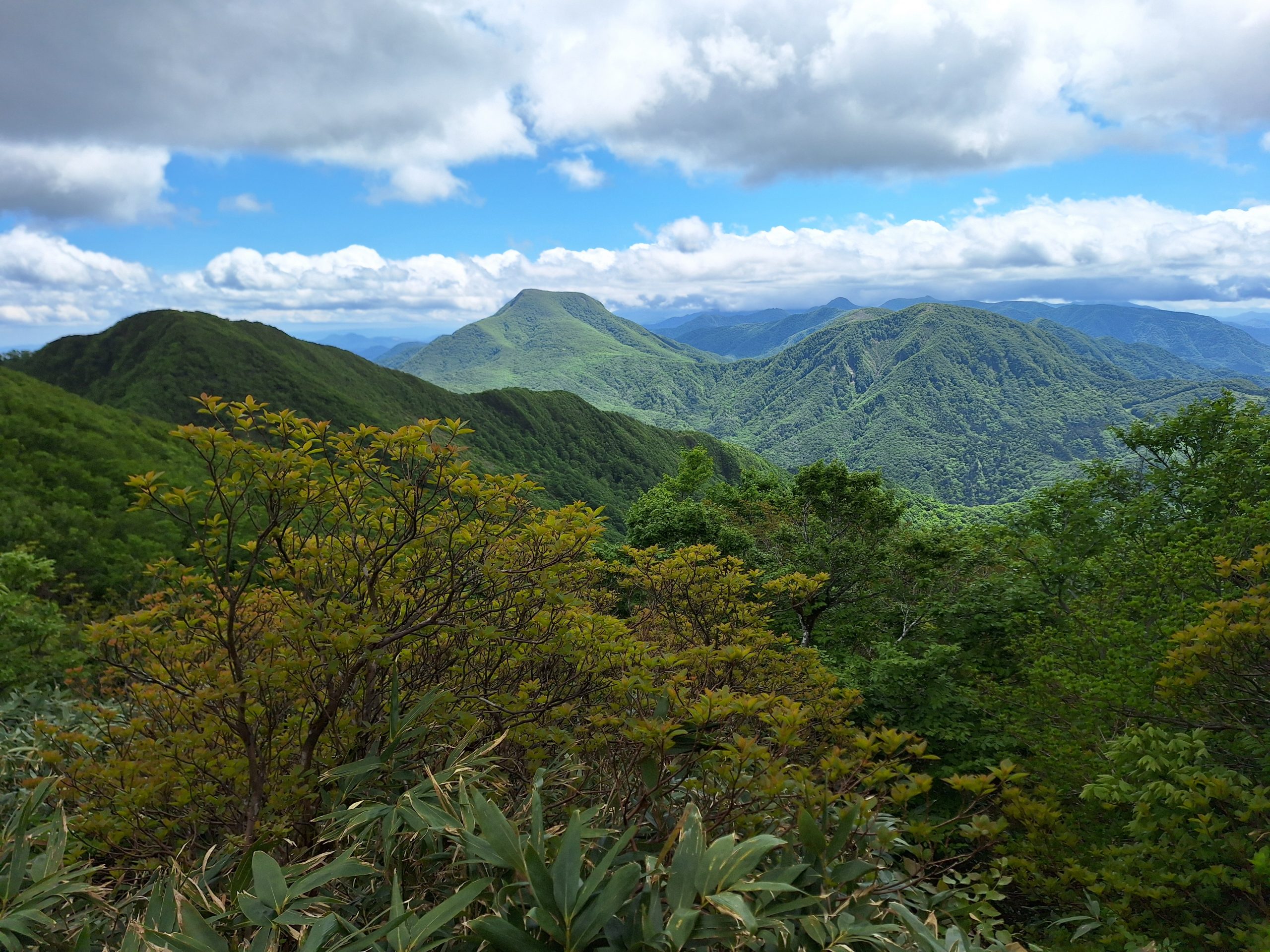 Ausblick vom Omoshiro-yama